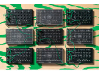 Moog Mavis Moog Mavis